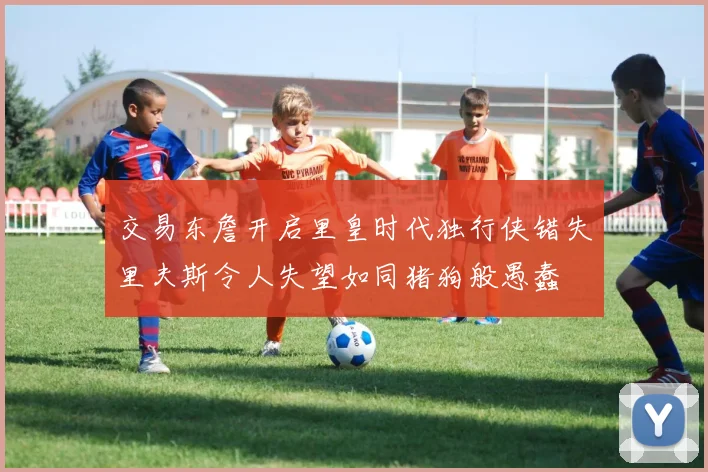 交易东詹开启里皇时代独行侠错失里夫斯令人失望如同猪狗般愚蠢